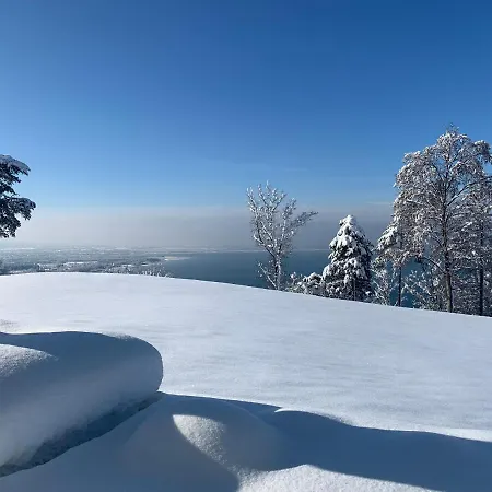 Seeblick Henle Apartment Bregenz