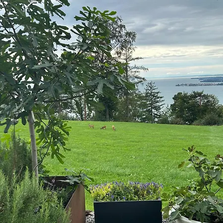 Lejlighed Seeblick Henle