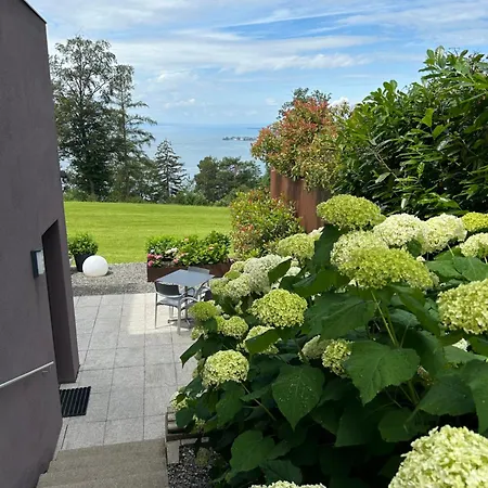 Seeblick Henle Appartamento Bregenz
